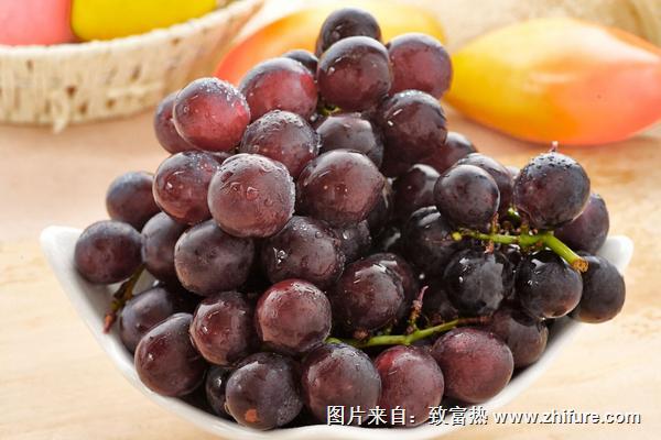 巨峰葡萄圖片大全