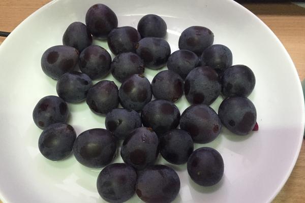 巨峰葡萄圖片大全