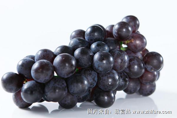 巨峰葡萄產(chǎn)地在哪里