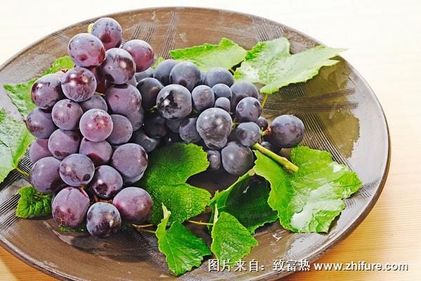 巨峰葡萄的功效與作用及禁忌
