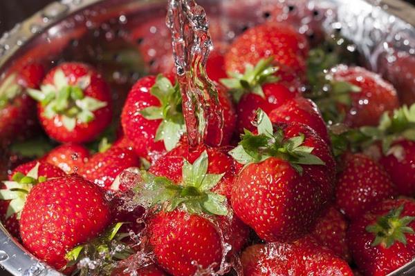 草莓怎么洗才干凈