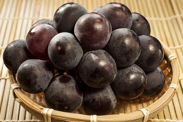 巨峰葡萄的功效與作用及禁忌