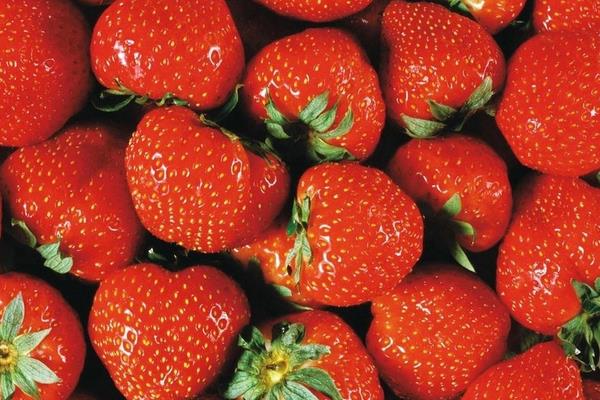 草莓怎么洗才干凈