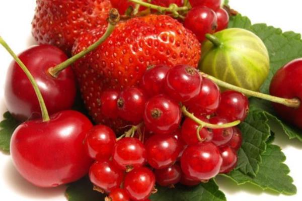 草莓有哪些品種