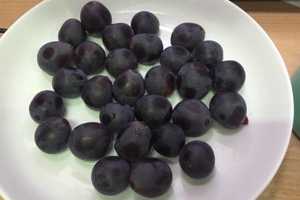 巨峰葡萄什么時候成熟