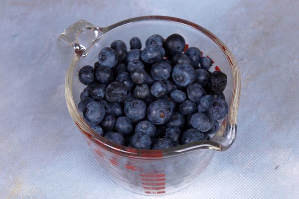 小葡萄是什么品種