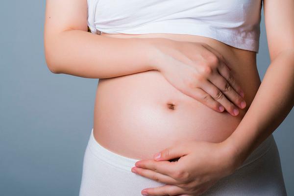 特小鳳西瓜是轉(zhuǎn)基因嗎