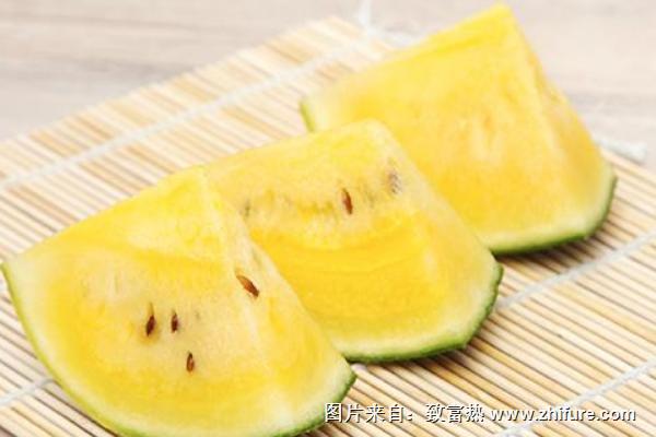 特小鳳西瓜是轉(zhuǎn)基因嗎