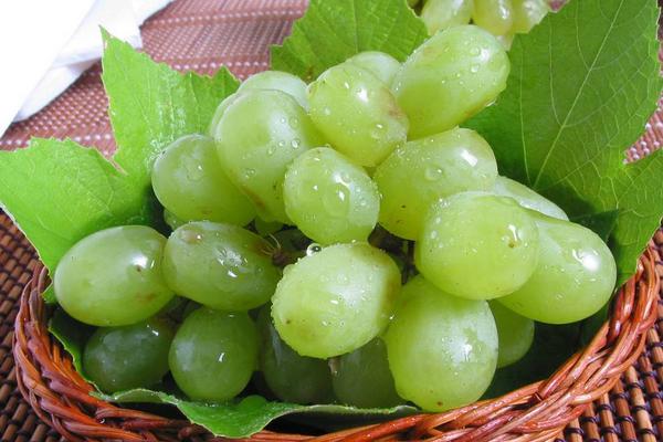 夢見綠葡萄是什么意思