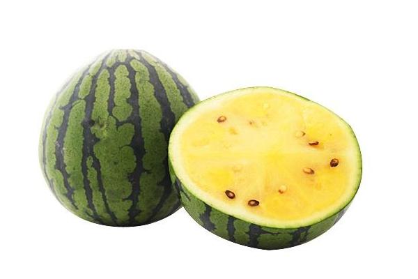 特小鳳西瓜是轉(zhuǎn)基因嗎