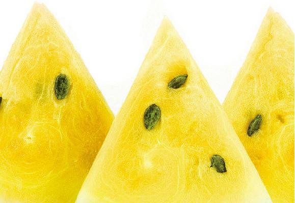 特小鳳西瓜是轉(zhuǎn)基因嗎