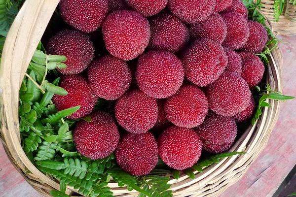 楊梅的功效與作用及禁忌