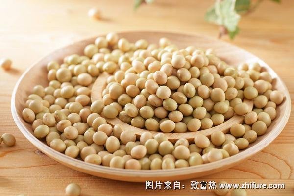 大黃豆和小黃豆的區別是什么