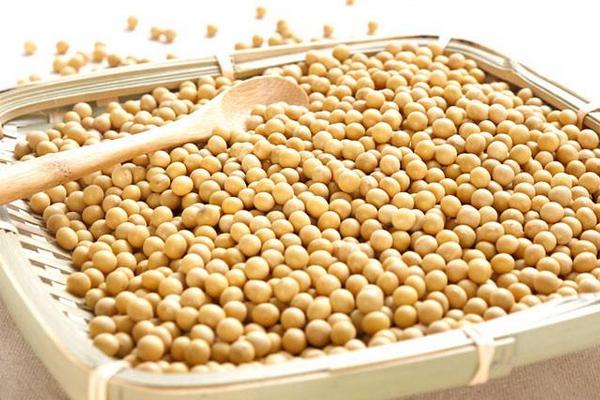 大黃豆和小黃豆的區別是什么