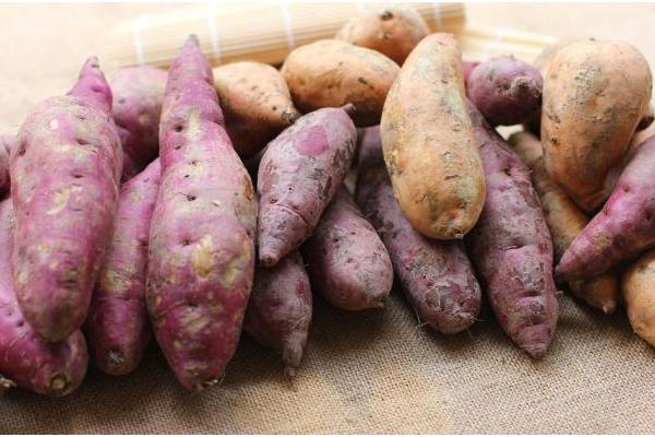 紅薯與什么食物相克