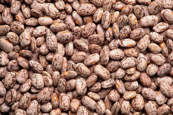 吃蘭花豆會胖嗎