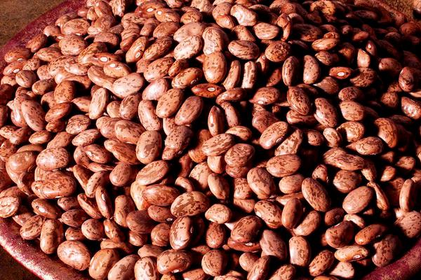 吃蘭花豆會胖嗎