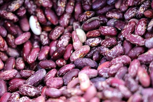 吃蘭花豆會胖嗎