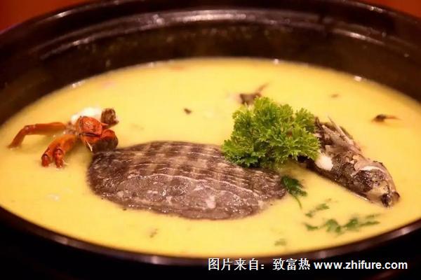 甲魚補腎湯的做法大全