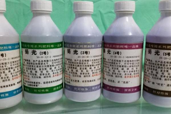 蘭花專用肥有哪些