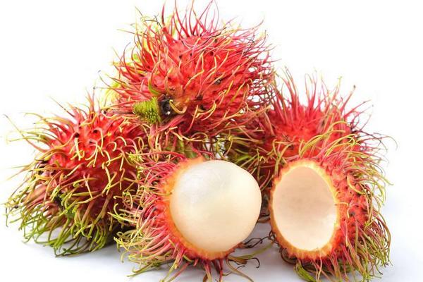 紅毛丹和荔枝的區別是什么