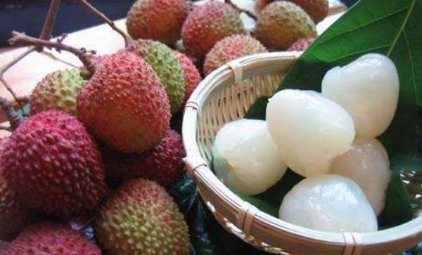 掛綠荔枝圖片大全