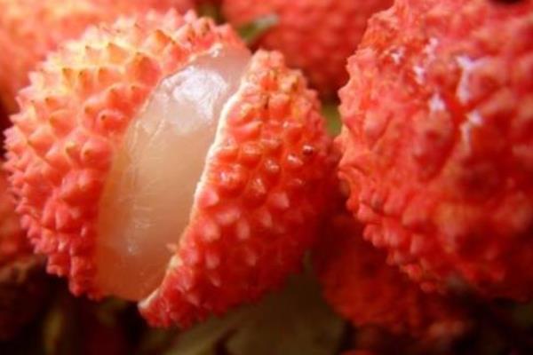 掛綠荔枝圖片大全