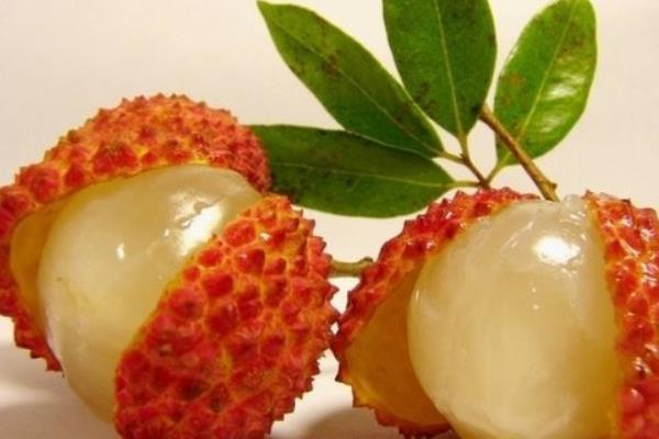 掛綠荔枝圖片大全