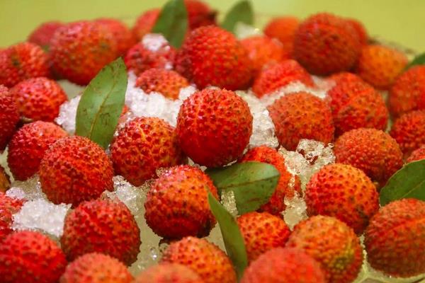 荔枝的功效與作用及禁忌