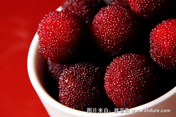 楊梅不能和什么一起吃