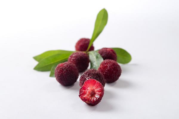 楊梅不能和什么一起吃