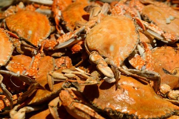 螃蟹和葡萄能一起吃嗎