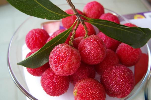 吃楊梅過敏怎么辦