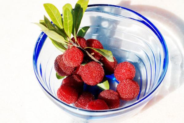 吃楊梅過敏怎么辦