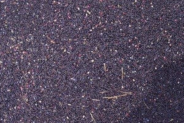 花椒種子價格多少錢一斤