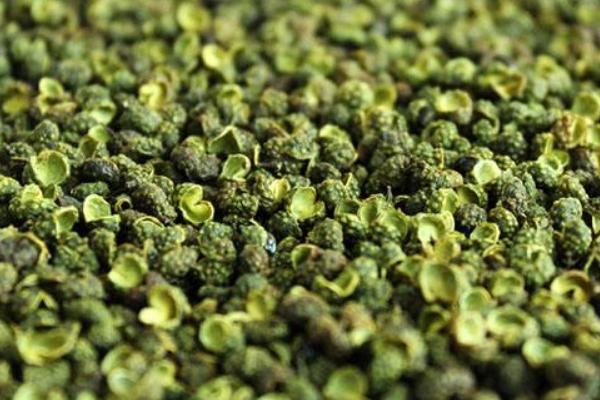 藤椒和花椒的區(qū)別是什么