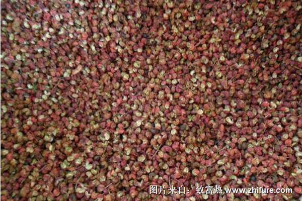 花椒籽的功效與作用及禁忌