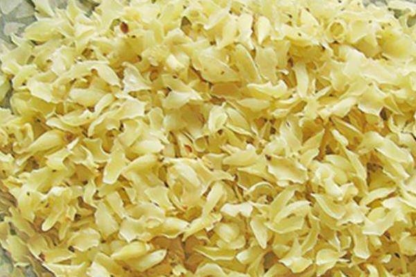 食用百合種植技術