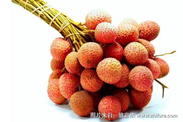 荔枝品種有哪些