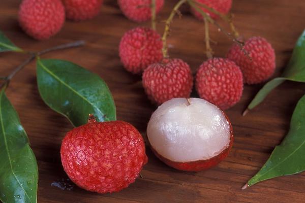 荔枝品種有哪些