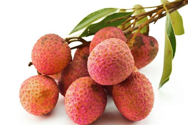 荔枝品種有哪些