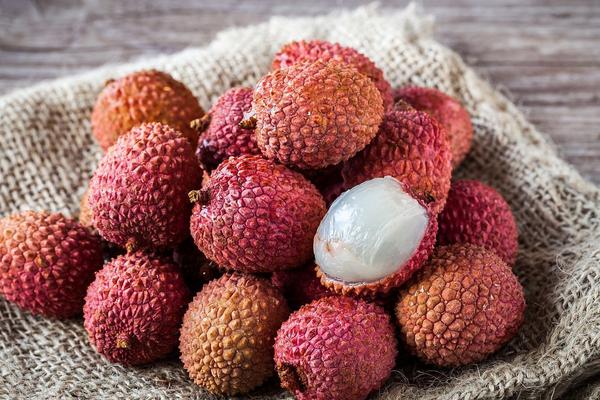 荔枝在我國的主要產地是哪里