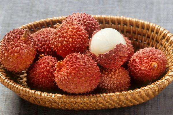 荔枝在我國的主要產地是哪里