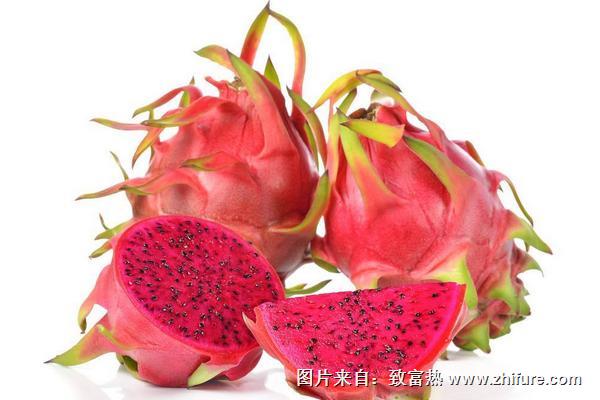 火龍果的功效與作用及禁忌