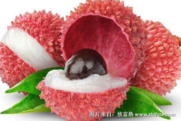 楊貴妃吃的荔枝產(chǎn)自哪里