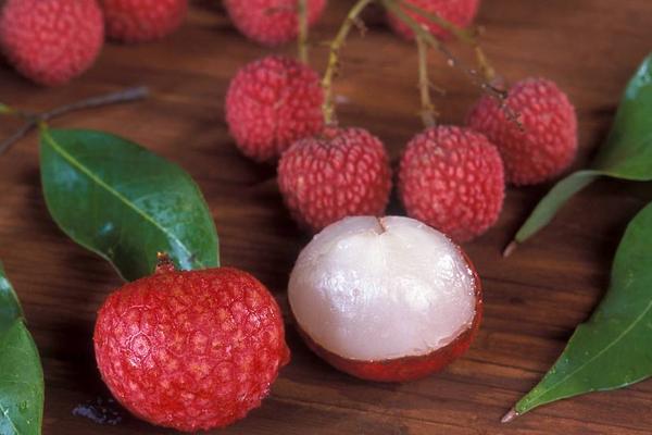 楊貴妃吃的荔枝產(chǎn)自哪里