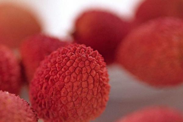 楊貴妃吃的荔枝產(chǎn)自哪里