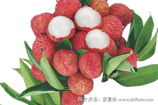 荔枝與龍眼的區(qū)別