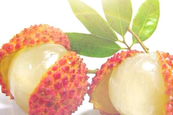 荔枝與龍眼的區(qū)別