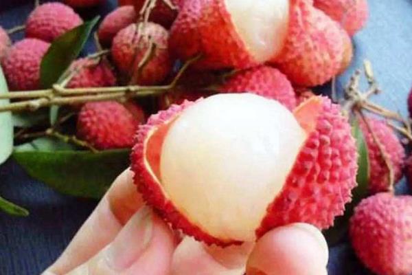 荔枝與龍眼的區(qū)別